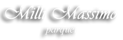 Milli Parquet