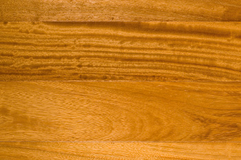 iroko
